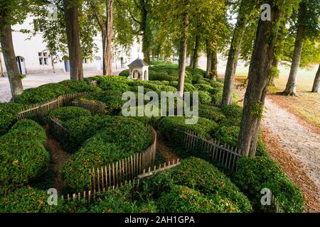 France, Sarthe, vallée du Loir, Le Lude, Château du Lude, jardins, labyrinthe dans les sous-bois // France, Sarthe (72), vallée du Loir, Le Lude, jardins d Banque D'Images