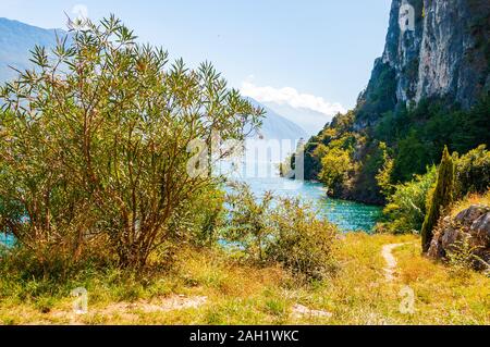 Sentier panoramique menant à la rive du lac de garde en vertu de la montagne des Dolomites. Les arbres croissant sur la belle plage sauvage de pré sur le lac de Garde sous haute rocky Banque D'Images