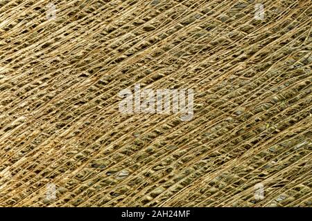 Détail de la fibre d'un palmier moulin chinois crée un fond texturé naturelles Banque D'Images