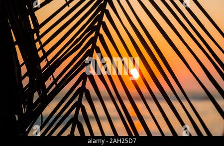 Coucher du soleil à Santa Teresa, Costa Rica Banque D'Images