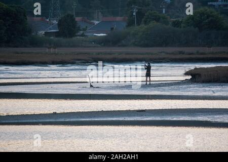 Un homme explore par l'eau à Mill Valley, CA. Banque D'Images