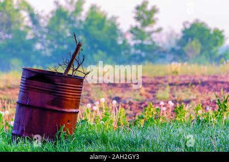 Un tambour à huile jetés dans un pré d'herbes recouvert de gouttes de rosée au petit matin le brouillard. ad Banque D'Images