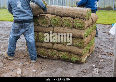 Nouvelle pelouse jardinage rouleaux de gazon d'herbe frais prêt à être utilisé Banque D'Images