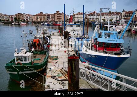 Les navires de pêche à quai de pose sur un matin d'hiver, Saint-Jean de Luz, Pays Basque, Pyrénées-Atlantiques, France Banque D'Images