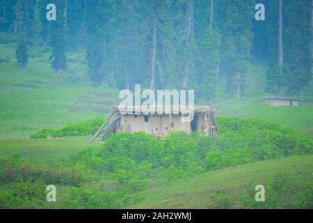 Moody désaturés look d'un Gujjar cabane dans la forêt de pins dense brouillard du Cachemire, l'Inde Banque D'Images