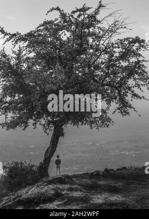 Une personne debout à côté d'un arbre sur le sommet d'une petite colline. Self Portrait d'une personne dans un paysage en noir et blanc Banque D'Images