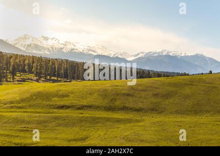 Prés Verts d'Yusmarg, Cachemire photographié en fin d'après-midi et avant le coucher du soleil Banque D'Images