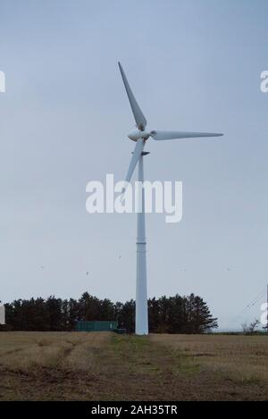 Petite éolienne dans une ferme de l'Easter Ross Scotland UK Banque D'Images