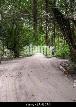 Une petite jungle au milieu des Maldives avec chemins de sable et rayons de soleil à travers la jungle Banque D'Images