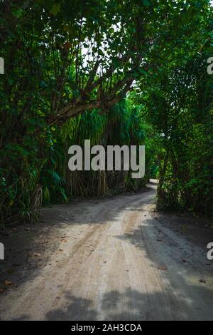 Une petite jungle au milieu des Maldives avec chemins de sable et rayons de soleil à travers la jungle Banque D'Images