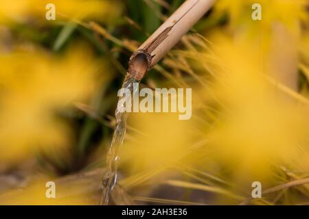 Dispositif de l'eau qui coule en bambou close up Banque D'Images