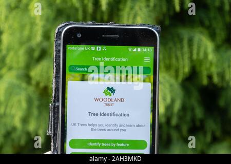 Les arbres par l'app britannique Woodland Trust sur un téléphone mobile pour l'identification des espèces d'arbres au Royaume-Uni Banque D'Images