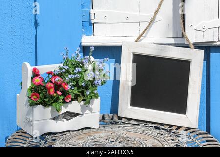 Bläckboard avec fleurs daisy devant un abri de jardin Banque D'Images