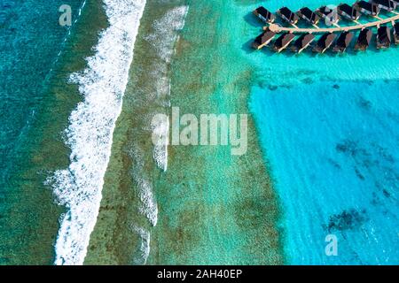 Les Maldives, South Male Atoll, vue aérienne de coral reef Banque D'Images