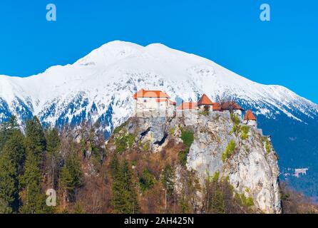 Ancien château médiéval sur le rocher contre les montagnes enneigées et le ciel bleu, le lac de Bled, Slovénie Banque D'Images