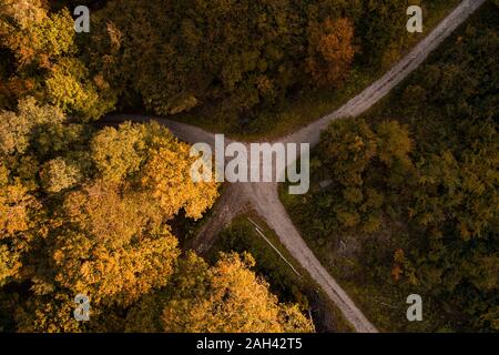 L'Autriche, Basse Autriche, vue aérienne de la jonction de la route de gravier dans la forêt d'automne Banque D'Images