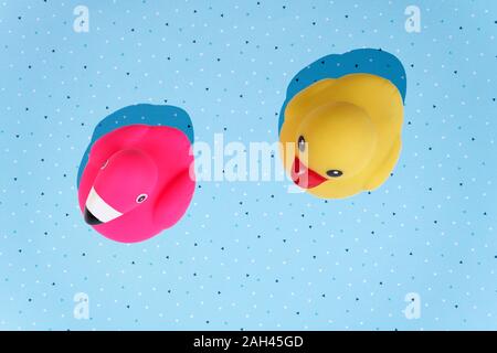 Canard jaune et rose flamingo, jouets de bain sur fond bleu avec copie espace Banque D'Images