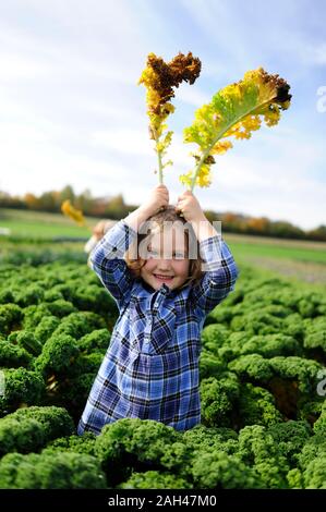 Jeune fille dans un champ de kali, feuilles comme des oreilles de lapin Banque D'Images