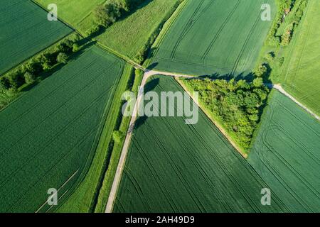 Germany, Bavaria, vue aérienne des routes de couper à travers les champs de verdure de la campagne au printemps Banque D'Images