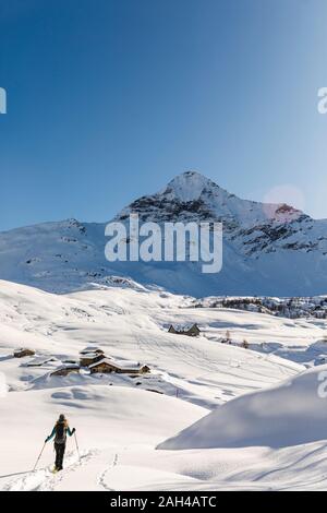 Femme marche en raquettes dans la neige fraîche dans les montagnes, Valtournenche, Italie Banque D'Images