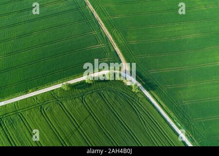 Germany, Bavaria, vue aérienne des routes de couper à travers les champs de verdure de la campagne au printemps Banque D'Images