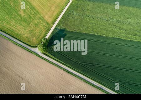 Germany, Bavaria, vue aérienne des routes de couper à travers les champs de verdure de la campagne au printemps Banque D'Images