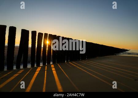 Pays-bas, Cadzand-Bad, plage avec brise-lames au coucher du soleil Banque D'Images