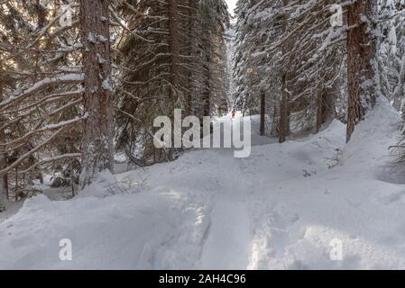 Un skieur de fond méconnaissable sur un sentier au Emerald Lake en Colombie-Britannique, Canada Banque D'Images