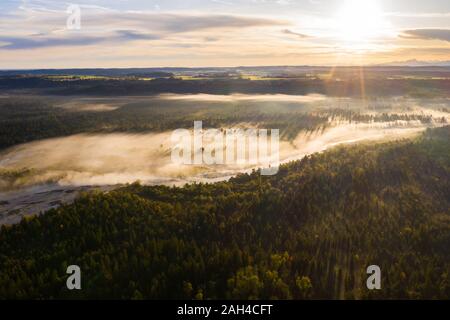 Allemagne, Bavière, Wolfratshausen, brouillard flottant au-dessus de la rivière Isar à scenic lever du soleil Banque D'Images