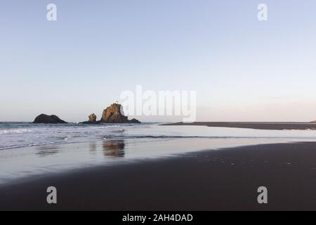 Tôt le matin à l'Whatipu Beach sur la côte ouest d'Auckland, Nouvelle-Zélande. Il y a de fer noir, sable, petites îles rock avec un phare r Banque D'Images