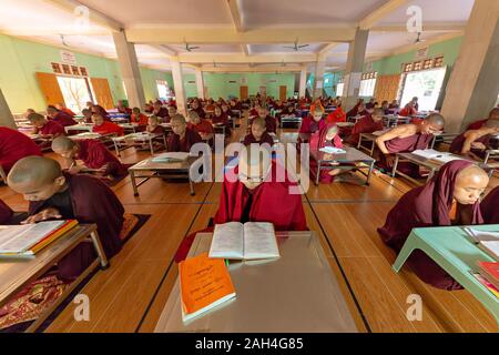 La lecture et l'étude des moines dans la salle de classe du monastère à Mandalay, Myanmar Banque D'Images