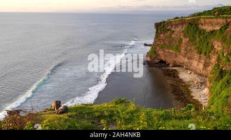 Plan large de macaques reposant sur une falaise, au temple d'Uluwatu à Bali Banque D'Images