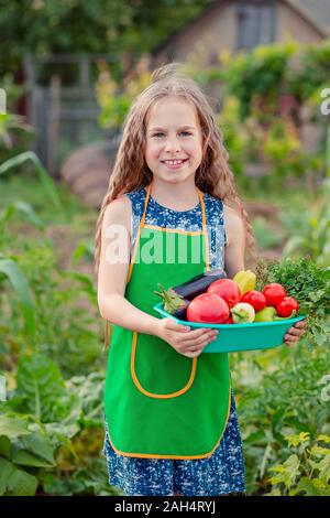 Jolie petite fille dans le jardin avec une récolte de légumes mûrs. La jeune fille rassemble une récolte de tomates biologiques mûres dans le jardin. Banque D'Images