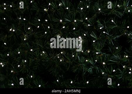 Feux clignotants de Noël traditionnel accroché sur les rameaux de l'arbre vert comme fond décoré de pins. Branches de sapins avec string lampes feux de riz. Banque D'Images