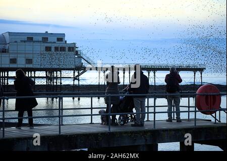 Aberystwyth, Ceredigion, pays de Galles, Royaume-Uni 25 Décembre 2019 : le jour de Noël après-midi rassemblement de personnes à regarder l'affichage sur starling murmuration Aberystwyth Banque D'Images