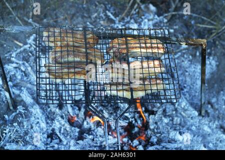 Barbecue de porc préparé à l'extérieur sur une chaude journée d'été dans un camp Banque D'Images
