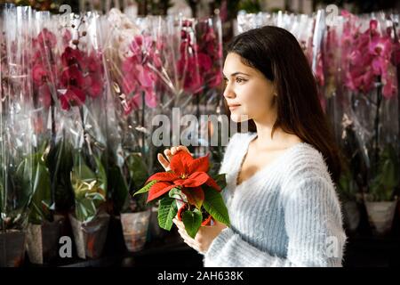 Jolie jeune fille brune choisit cache-pot dans un pot. Rouge fleurs en pot Banque D'Images