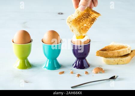 Oeufs Les oeufs dans des tasses avec des toasts. Banque D'Images