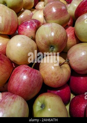 Un tas de pommes Gala Banque D'Images