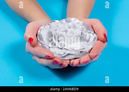 Woman hand holding white rose ornement avec snow isolé sur un fond bleu dans Studio. Les mains avec des ongles rouges sur des doigts polonais Banque D'Images