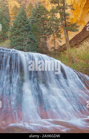 Au printemps, la cascade de gauche à la fourche de North Creek, le métro randonnée pédestre, Zion National Park, Utah Banque D'Images