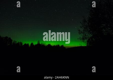 Northern Lights sur une nuit de septembre dans les eaux limitrophes, Minnesota, USA Banque D'Images