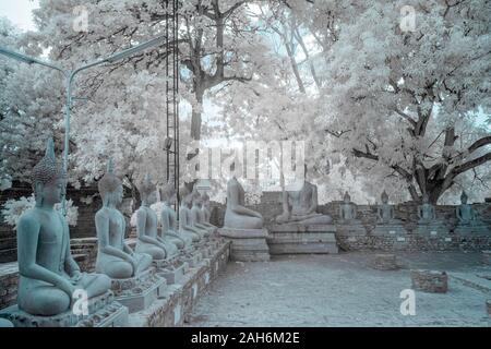 De l'ancienne ligne images de Bouddha dans un temple bouddhiste d'Ayutthaya, Thaïlande en photographie à infrarouge Banque D'Images