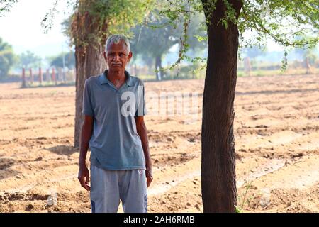 Hauts farmer standing in field crop examinant au coucher du soleil.indian farmer.portrait d'homme barbu d'âge moyen avec chapeau, debout les bras croisés et à la Banque D'Images