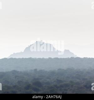 Lumière matinale fraîche au lever du soleil sur les arbres, collines dans la brume, format carré, Sosian, Laikipia, Kenya, Afrique Banque D'Images