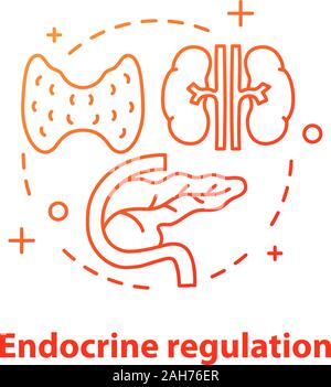 Règlement endocrines concept icône. L'endocrinologie idée fine ligne illustration. Les soins de santé. La glande thyroïde, le pancréas. Dessin vectoriel aperçu isolés Illustration de Vecteur