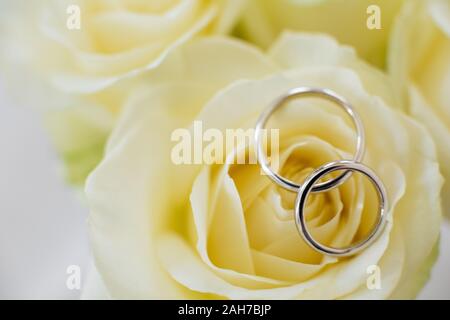 Gros plan de deux anneaux de mariage blancs en or couchés la fleur d'une rose jaune contre un bokeh blanc arrière-plan Banque D'Images