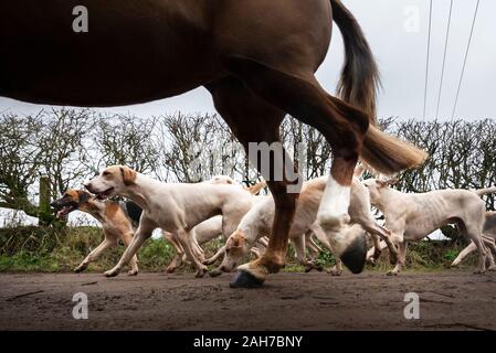 Les membres de la Grove et Rufford Hunt participer à un traditionnel Boxing Day hunt dans le Yorkshire du Sud. Des dizaines de Boxing Day hunts sont allés de l'avant à travers le Royaume-Uni, les États se préparent à un durcissement des lois pour que les renards en sécurité. Banque D'Images