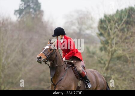 Hagley, Worcestershire, Royaume-Uni. 26 décembre 2019. L'Albrighton et Woodland Hunt se réunit à Hagley Hall le Boxing Day pour sa traditionnelle rencontre annuelle. Peter Lopeman/Alamy Live News Banque D'Images