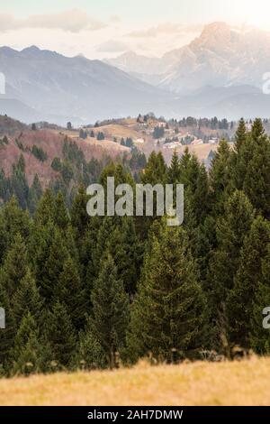 Paysage de montagne italien emblématique, avec un bois de pins en premier plan, les Alpes au loin, et un petit village entre les deux Banque D'Images